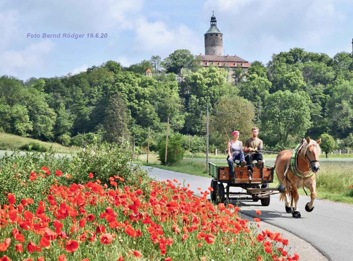 Pension Gruenes Herz Tonndorf Exteriör bild