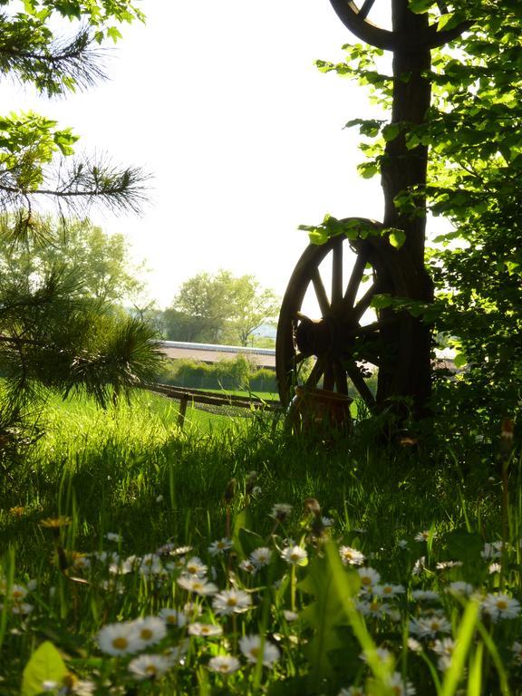 Pension Gruenes Herz Tonndorf Exteriör bild